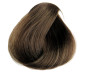 Preview: Selective Professional COLOREVO Farbe 6.01 dunkelblond natur asch