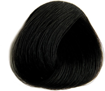 Selective Professional COLOREVO  Farbe 1.0 schwarz
