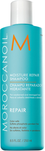 Moroccanoil Regenerierendes Shampoo 250ml