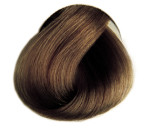 Selective COLOREVO Farbe 6.23 dunkelblond beige gold