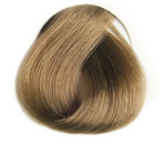 Selective COLOREVO Farbe 8.31 hellblond havanna